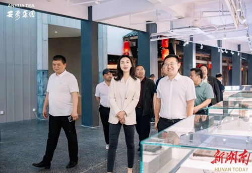 永定區(qū)工商聯(lián)推動(dòng)民企‘走出去，請(qǐng)進(jìn)來’，助力經(jīng)濟(jì)與文化雙騰飛